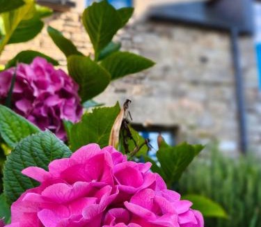 Cancale Hotel | Manoir Des Douets Fleuris