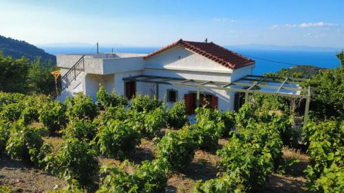 Manolates House | Manolates 360