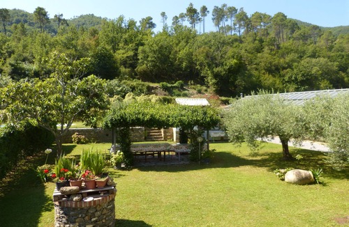 Casanova Lerrone Apartment | Mansarda Albero Verde