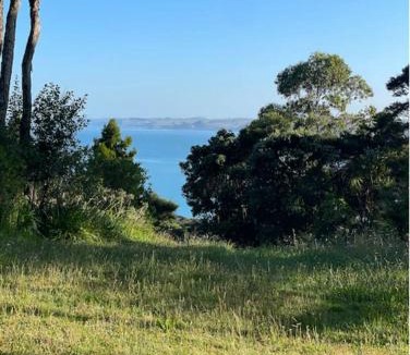 Raglan House | Manu Bay Bee Retreat - Walk to WSL