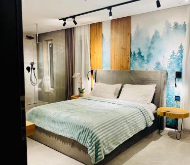 Valiug Hotel | MAPaMONT