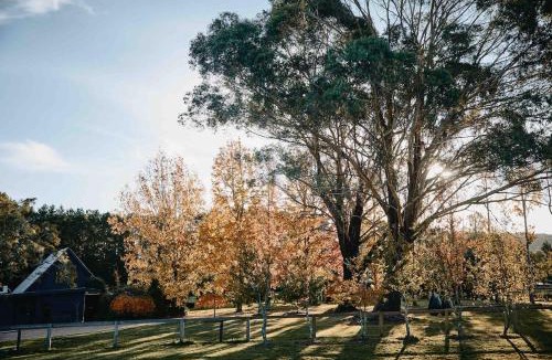 Robertson House | Maple Lodge - Alpacas, Goats, Chickens, Outdoor Pizza Oven & Games Room!