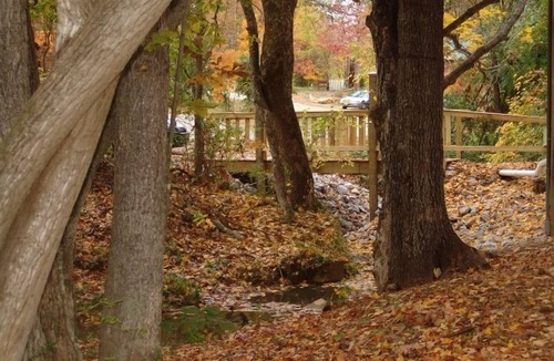 Hardin County Cabin | Maple Oak Tree House by Garden of the Gods in the Shawnee National Forest