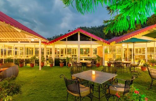 Shimla Resort | Maple Resort Chail