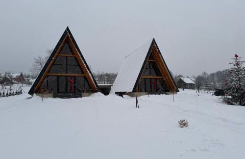 Moisei Cabin | Mara Frames - Moisei