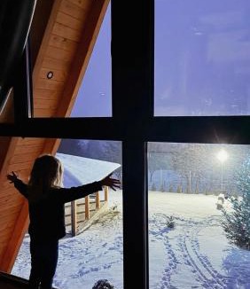 Moisei Cabin | Mara Frames - Moisei