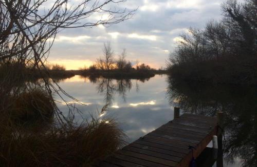 Arles Villa | marais de capeau