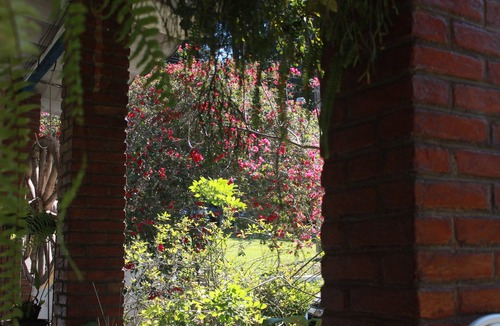 Mato do Gado Cabin | Marallin Camp