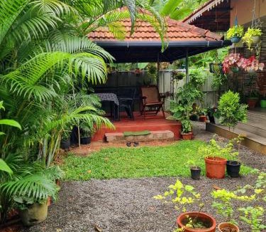 Mararikulam House | Marari Sophy Villa