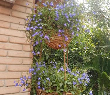 Dolianova House | Marco's house