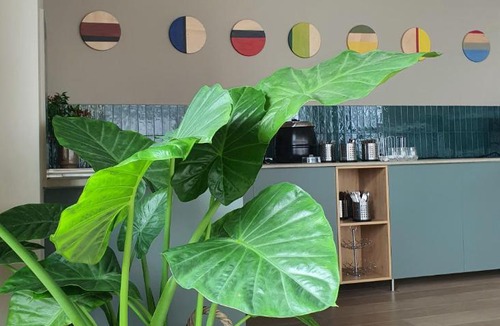 Satu Mare Hotel | Marida Hotel