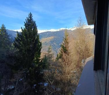 Marilleva Apartment | Marilleva 1400 - Alpine Apartment