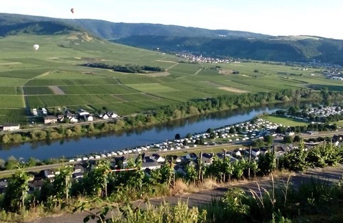 Kluesserath Apartment | Marinas Ferienwohnung - Klüsserath / Mosel