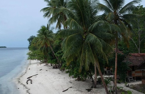 Pulau Fam House | marine homestay