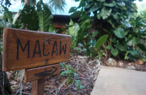 San Antonio Apartment | Mariposa Jungle Lodge