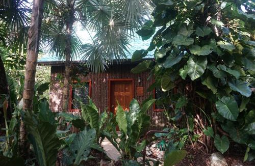 San Antonio Apartment | Mariposa Jungle Lodge