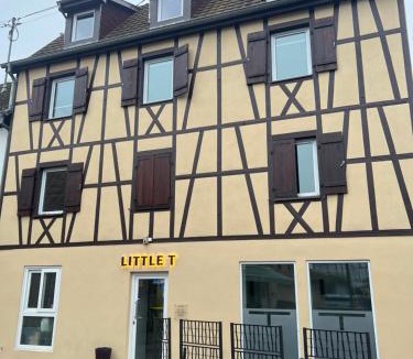 Pfaffenhoffen Apartment | Marmus