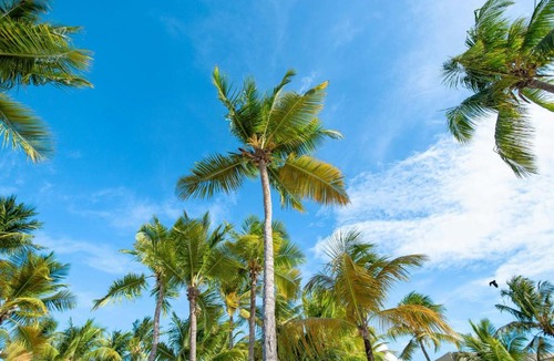 Isla Verde Resort | Marriott Isla Verde Beach Resort