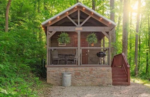 Lookout Valley Neighborhood Association House | Martha Cabin Tiny Cabin By Downtown Chattanooga