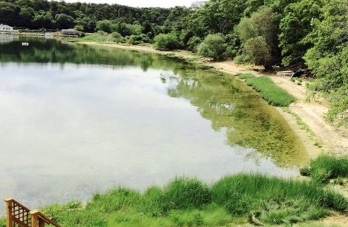 Tisbury Cottage | Martha's Vineyard waterfront with Dock