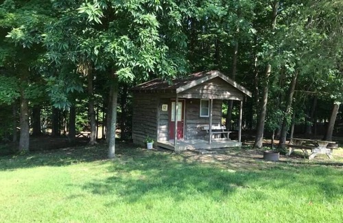Helmsburg Cabin | "Martin" Camping Cabin #12 | Pet Friendly