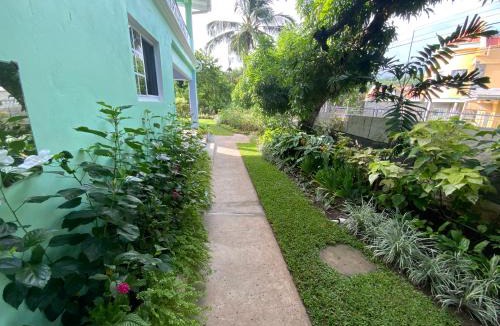 Ciceron House | Marvey's Place