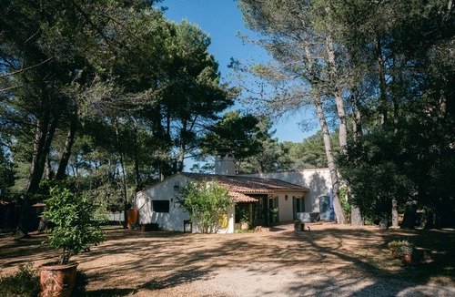 Paradou House | Mas Frederi - Maison avec piscine pour 10
