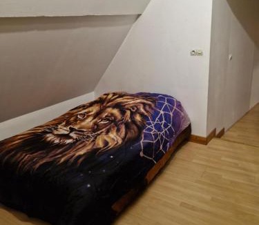 Besson House | Massaflo climatisation 2 chambres