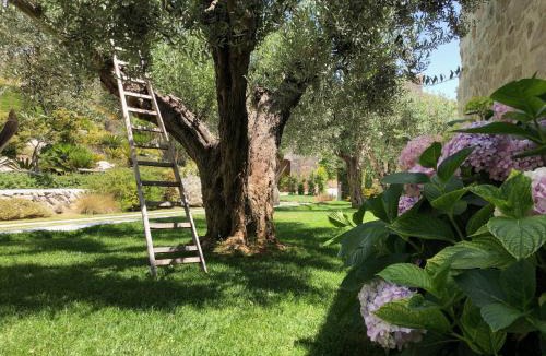 Realmonte Hotel | Masseria Agnello Relais