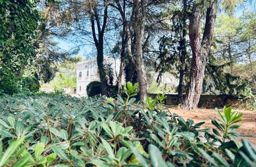 Novoli House | Masseria Convento