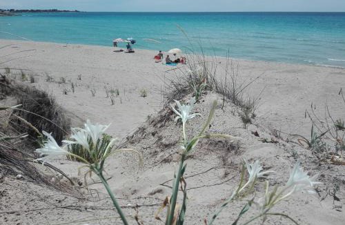Torricella House | Masseria Giustiniani
