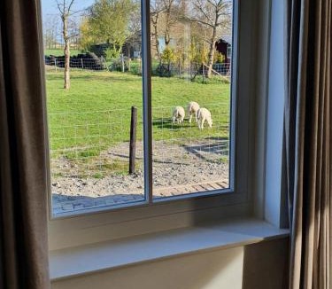 Warder Apartment | Mathildahoeve