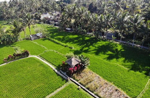 Kedewatan Hotel | MATHIS Retreat Ubud