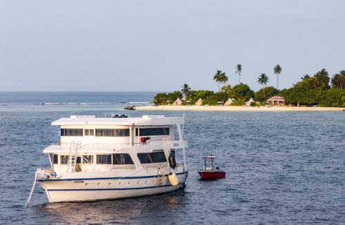 Laamu Atoll Resort | Maverick Surf and Dive Boutique Hotel, Free Speedboat Service KDO, Stay 10 Nights Enjoy 1 Night Free, Kids Stay Free