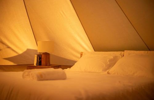 Laamu Atoll Resort | Maverick Surf and Dive Boutique Hotel, Free Speedboat Service KDO, Stay 10 Nights Enjoy 1 Night Free, Kids Stay Free
