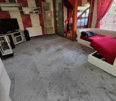Bacau County Villa | MAXX Lodge
