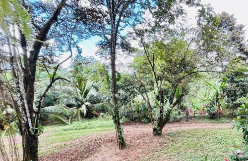 Savegre Other | Mayra Campground