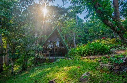 West Manggarai Cabin | Mbeliling Mountain Ecolodge