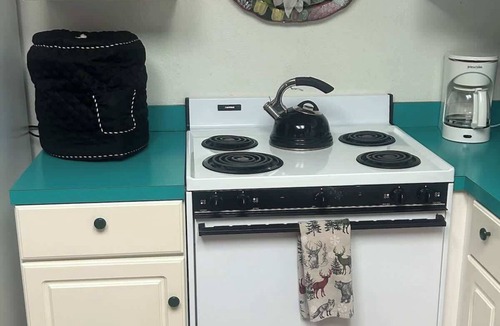 McCall House | McCall Gem, Pet Friendly, Fully Fenced, Fire Pit!