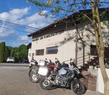 Curtea De Arges Apartment | MD Apartament- Cazare la curte