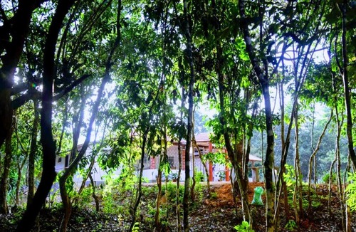 Koppa House | Meadow Muse