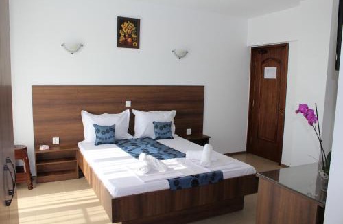 Costinesti House | Medeea