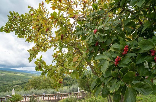 Caprese Michelangelo Other | Medieval Farmhouse in Caprese Michelangelo with Terrace