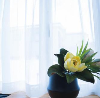 Asahikawa House | meet