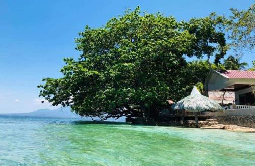 Santander Resort | Melbas Whaleshark and Beach Resort