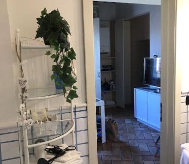 Saragozza-Porto Apartment | Meloncello House