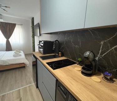 Timisoara Apartment | MER Studio Premium Stay