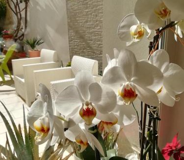 Castromediano Bed & Breakfast | Meraki B&B