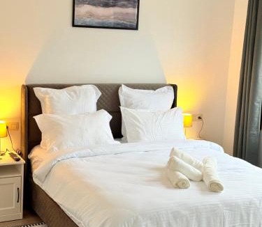Mont-sur-Marchienne Apartment | Mervaroom