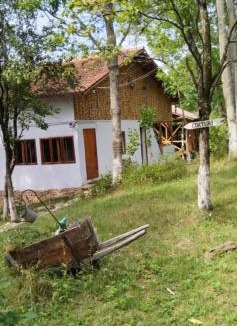 Breaza de Jos Other | Mesteceni Glamping